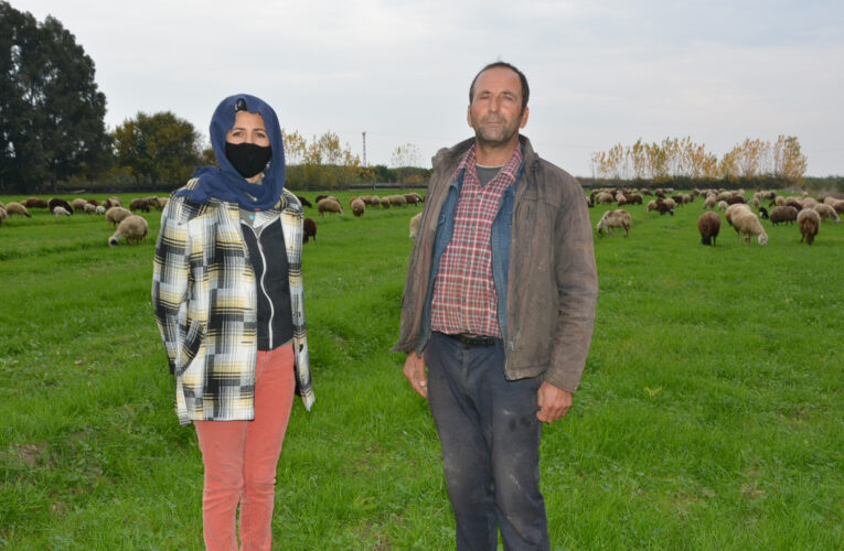 MESLEKTAŞLARI ÇİFTLİKLERİNİ SATARKEN, ONLAR BÜYÜKŞEHİR’İN DESTEĞİYLE AYAKTA KALIYOR