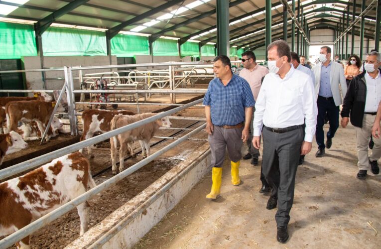 TARIM KENTİ MERSİN 2021’DE DE BÜYÜKŞEHİR’LE KALKINACAK