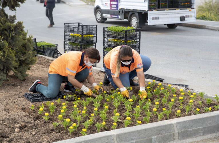 MERSİN BÜYÜKŞEHİR KENTİ YEŞİLE BOYUYOR