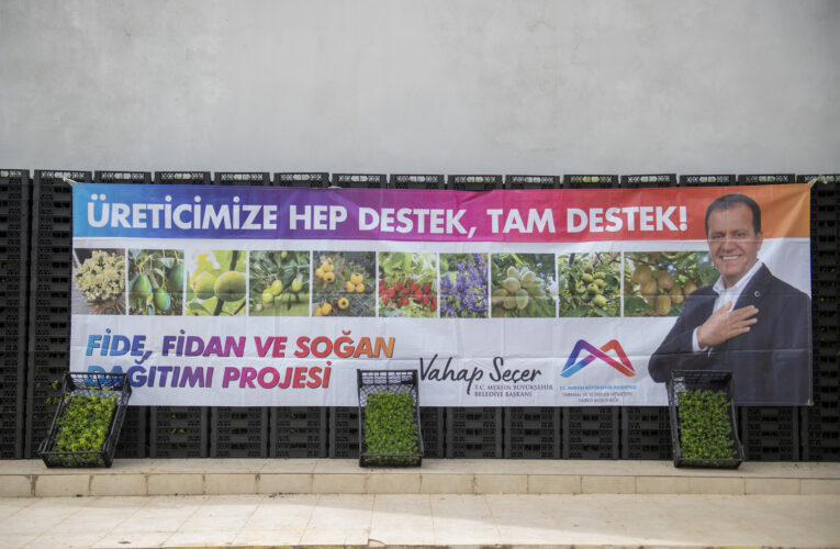 ÜRETİCİLER, KANTARON FİDELERİNİ İLK KEZ TOPRAKLA BULUŞTURACAK