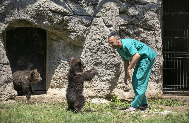 “İNCİ” VE “GÜÇLÜ” TARSUS DOĞA PARKI’NIN İKİ YENİ MASKOTU