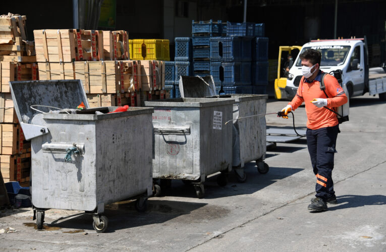 EKİPLER, TURUNÇGİL AĞACI ZARARLISI AKDENİZ MEYVE SİNEĞİNE KARŞI BİYOSİDAL UYGULAMA YAPIYOR