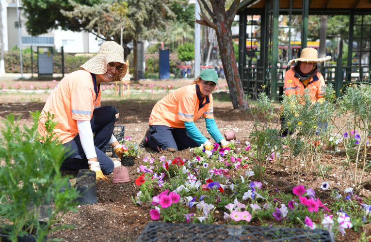 MERSİN BÜYÜKŞEHİR EKİPLERİ PEYZAJ ÇALIŞMALARINA HIZ VERDİ