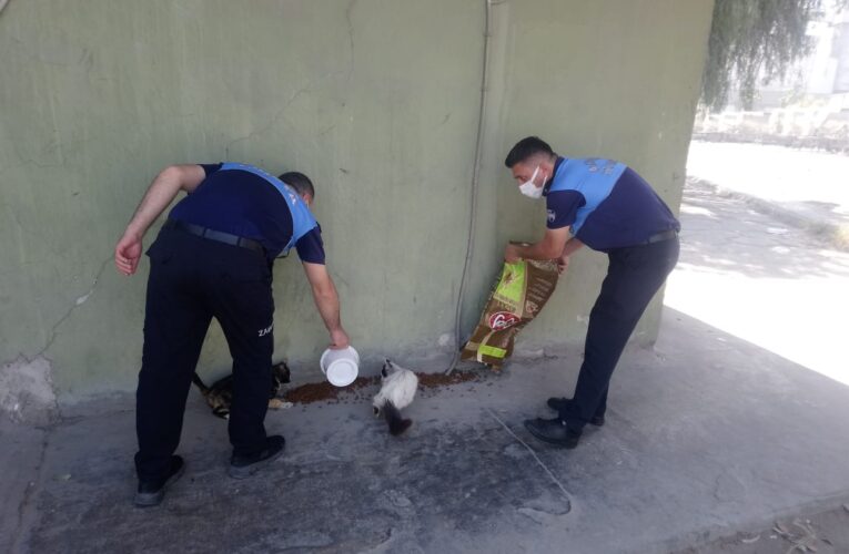 Kulübe desteği de sağlanıyor