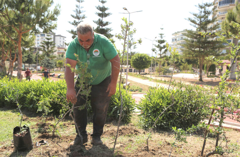 “Özenle Yetiştirdiğimiz Çiçekler, Yeşil Alanlarımıza Renk Katıyor”