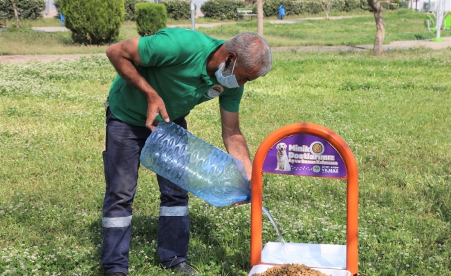 TOROSLAR BELEDİYESİ TAM KAPANMADA SOKAK HAYVANLARINI UNUTMADI