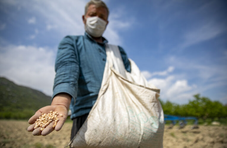 BÜYÜKŞEHİR’İN DESTEKLERİ GENÇLERİ DE TARIMA YÖNLENDİRİYOR