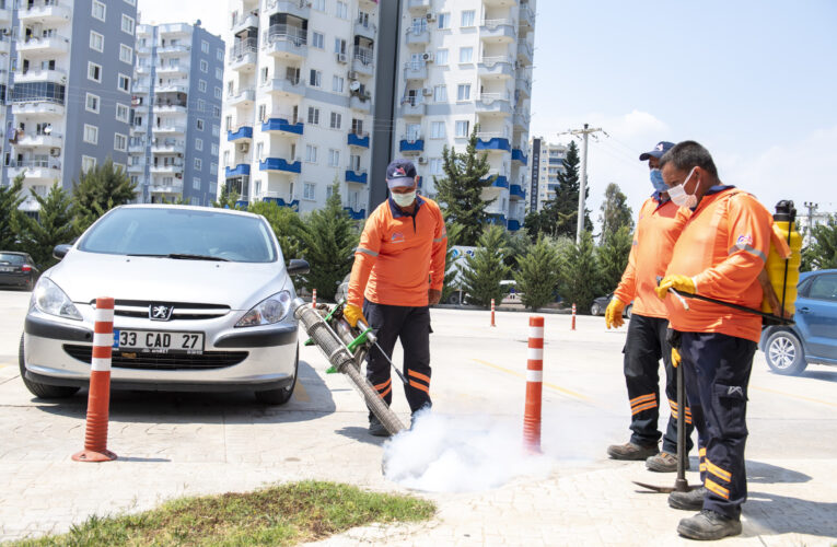 KÜÇÜK KAAN İLAÇLAMA TALEBİNİ İLETTİ, BÜYÜKŞEHİR YERİNE GETİRDİ