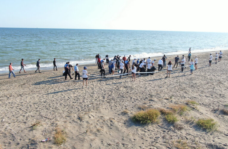 CARETTA CARETTALARIN KAZANLI SAHİLİNDEKİ YUVALAMA ALANLARI TEMİZLENDİ