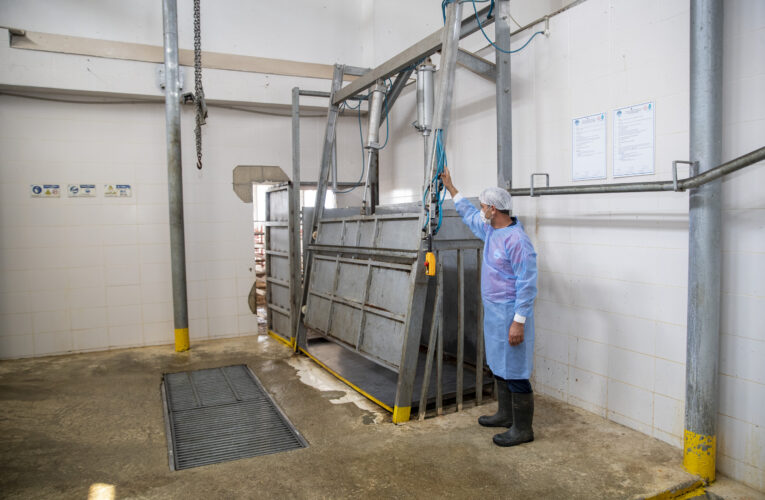 13 İLÇEDE 24 MOBİL KESİM ÜNİTESİ VE 8 MEZBAHA HİZMET VERECEK