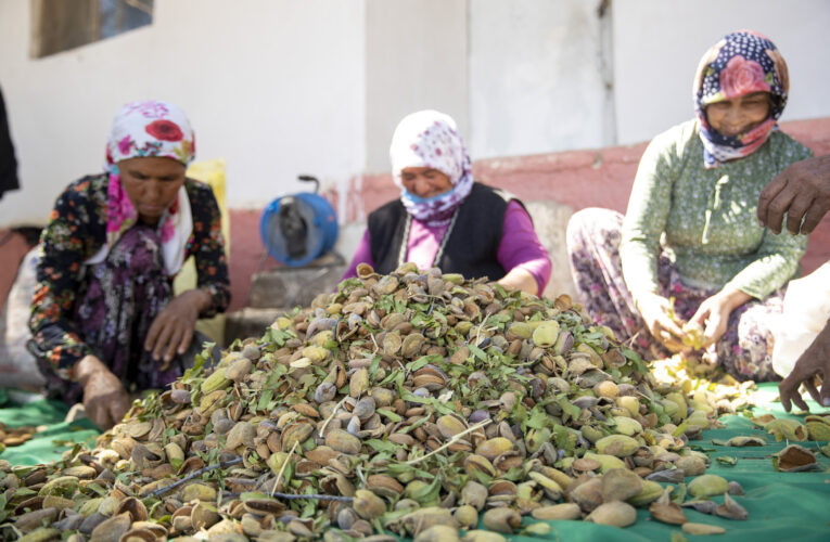 MERSİN BÜYÜKŞEHİR SAYESİNDE ÜRETİCİNİN İŞİ KOLAYLAŞIYOR