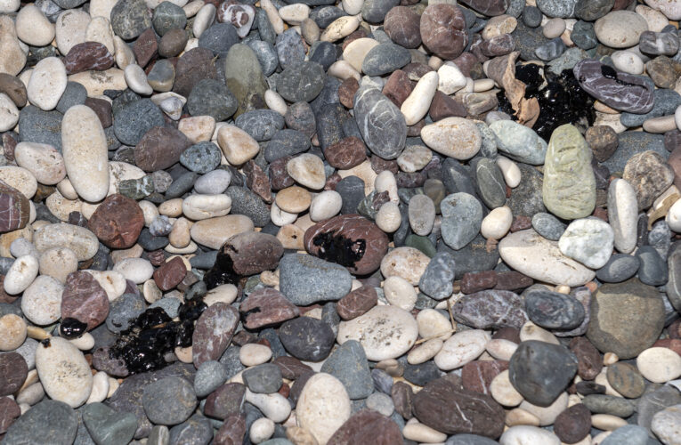 BÜYÜKŞEHİR, TÜRK HALK VE SANAT MÜZİĞİ TOPLULUKLARINA ENSTRÜMAN SANATÇISI ALIM SINAVINI TAMAMLADI