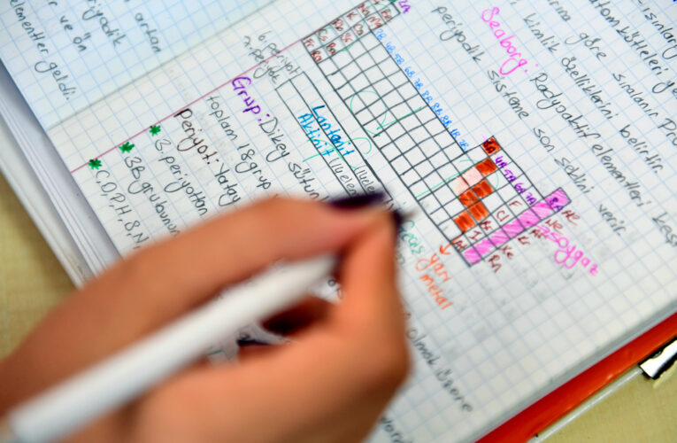 ÖĞRENİM YARDIMI 1600 LİRA OLDU, BAŞVURULAR BAŞLADI
