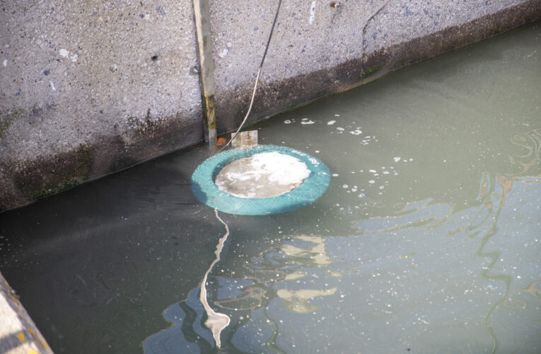 MERSİN BÜYÜKŞEHİR’DEN DENİZ TEMİZLİĞİ İÇİN YENİ UYGULAMA