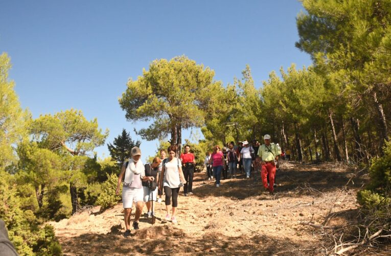 ÇAMLAR ALTINDA YÜRÜYÜŞ YAPAN KADINLAR, CEMEVİNDE AĞIRLANDI