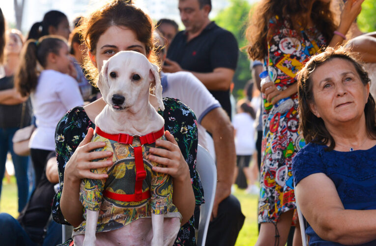 BÜYÜKŞEHİR’İN PATİLİLER İÇİN DÜZENLEDİĞİ FESTİVAL 10 EKİM’DE