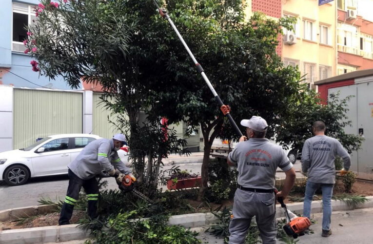 PARK, BAHÇE VE YEŞİL ALANLAR KORUMA ALTINDA