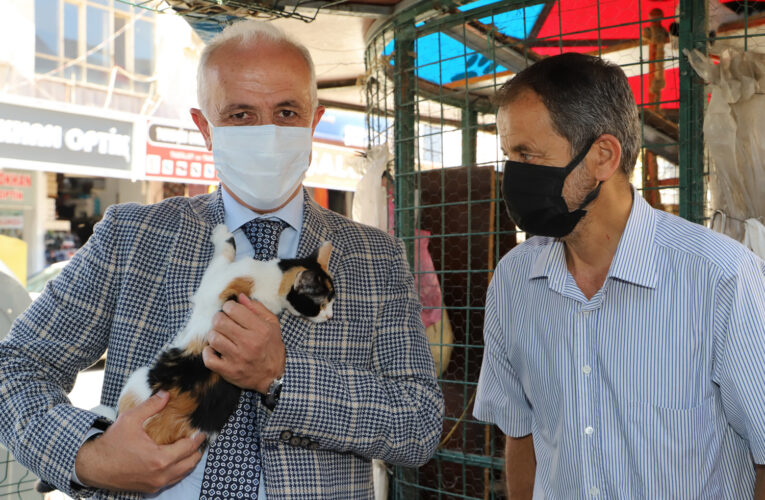 AKDENİZ BELEDİYESİ’NDEN CAN DOSTLAR İÇİN ETKİNLİK