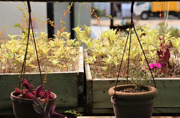 “Toroslar, Her Mevsim Rengârenk”