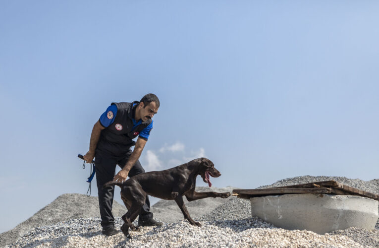 HAYAT KURTARMAK İÇİN EN ÖNDE KOŞAN CAN DOSTLAR: ARES, MAKİ VE MELO