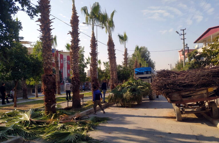 AKDENİZ’İN PARK VE YEŞİL ALANLARI ÇİÇEKLENİYOR