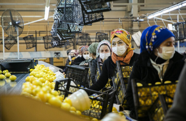 BAŞKAN SEÇER, NARENCİYE PAKETLEME TESİSİNİ GEZDİ, EMEKÇİ KADINLARLA BİR ARAYA GELDİ