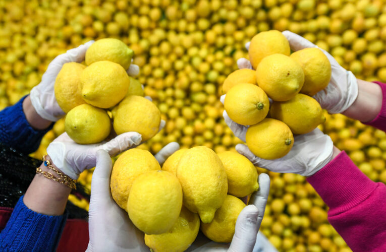 4 BÜYÜKŞEHİR’E ULAŞAN LİMONLAR MERSİN’DE DE DAĞITILDI