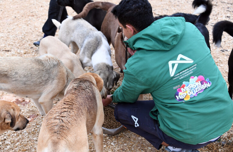 KIZKALESİ’NDE SOKAK HAYVANLARININ ANNESİ: “HAYRİYE ÖZYURT”