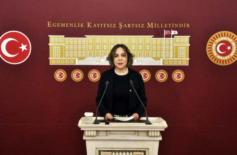 ‘MERSİN’DE HER GEÇEN GÜN YENİ SANAYİ ALANLARI OLUŞTURULUYOR’