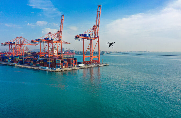 DENETİM VE TEMİZLİKLE KORUNAN MERSİN DENİZİNDE CANLI TÜRÜ ARTIYOR