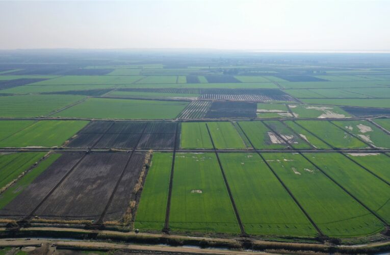 Arazi Değerleri En Az İki Kat Artıyor