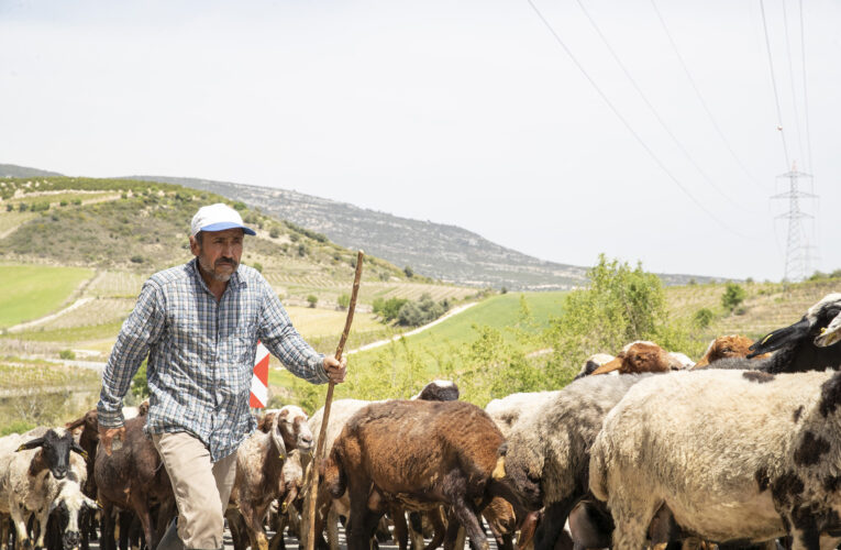 GIDA ÜRÜNLERİNİN YER ALDIĞI GÖÇ AZIKLARI, MERA BİRLİK BAŞKANLARINA TESLİM EDİLDİ
