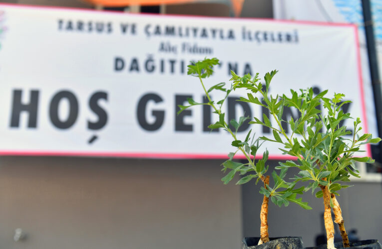 BÜYÜKŞEHİR’İN ÇİFTÇİLERE FİDAN DESTEĞİ DEVAM EDİYOR