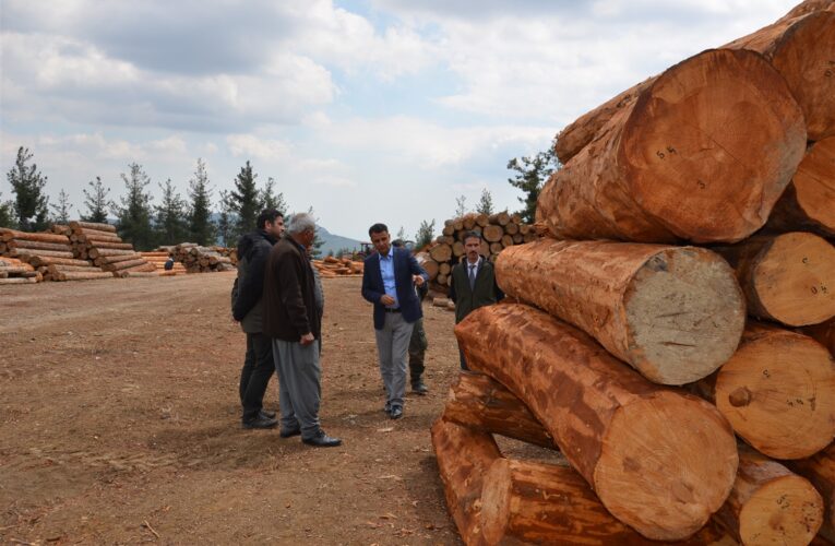 Bölge Müdürü Akduman Çakıllı Orman Deposunu inceledi