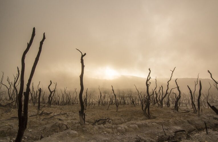 Son analizlere göre “Nükleer, karbon emisyonlarını ortadan kaldırmanın en ucuz yolu”