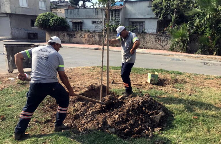 AKDENİZ’DE PARK VE YEŞİL ALANLAR YENİLENİYOR