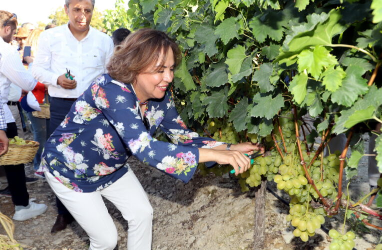 ESENLİLİ ÜRETİCİLERİN ÜZÜM ŞENLİĞİ SEVİNCİ