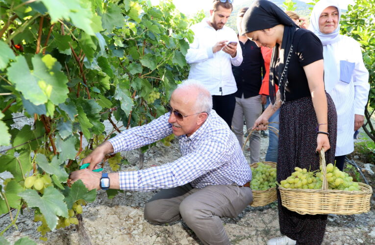 ÜZÜM DİYARI ESENLİ, ARTIK TÜRKİYE’NİN GÜNDEMİNDE
