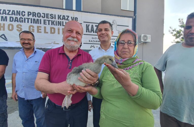 AİLE BÜTÇELERİNE KATKI SUNACAK KAZLAR, TARSUSLU YETİŞTİRİCİLERE DE TESLİM EDİLDİ