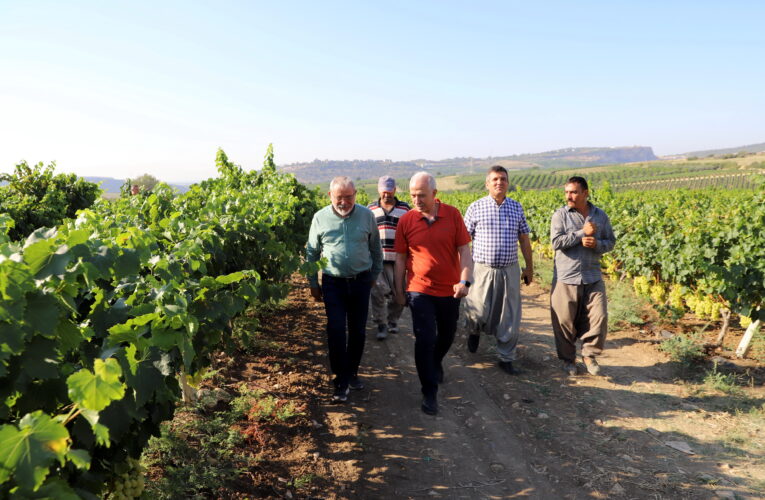 Akdeniz’de şenlik zamanı (VİDEO)