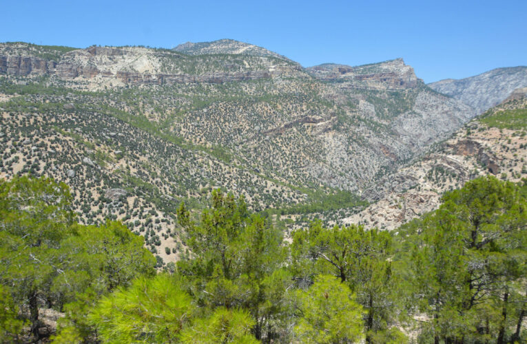 MERSİN BÜYÜKŞEHİR’İN EV SAHİPLİĞİNDEKİ ORGANİZASYONDA  7 SPORCU, KESTEL KANYONU’NU 5 GÜNDE GEÇTİ