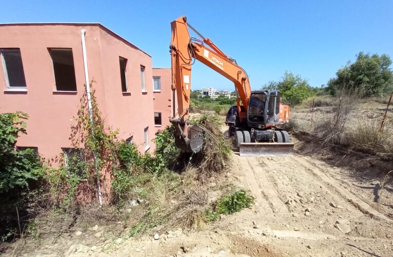 Yenişehir Belediyesi hayvan barınağında çalışmalara başladı
