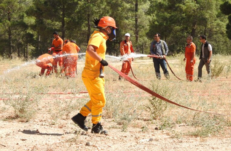 Mersin’de orman yangınlarıyla mücadelede OGM desteğiyle ilave tedbirler
