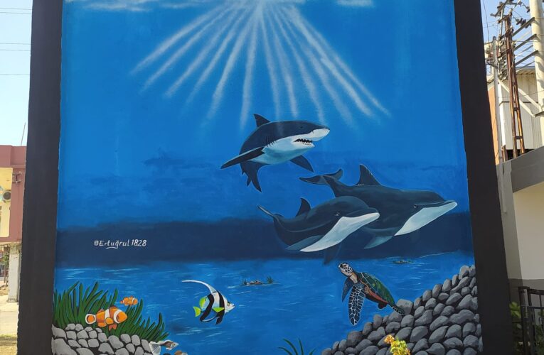 TOROSLAR BELEDİYESİ HAYVAN SEVGİSİNİ DUVARLARA TAŞIDI