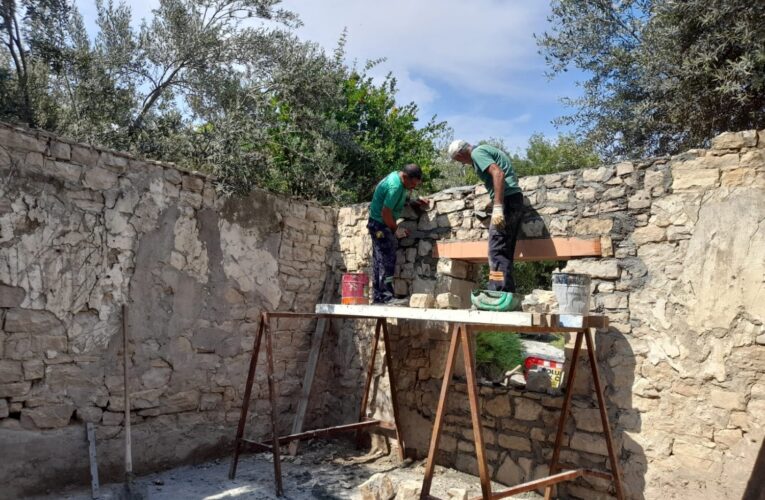 Yapılan araştırmada 820 yaşında olduğu belirlendi