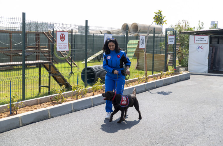 MERSİN BÜYÜKŞEHİR’E AİT K9’LAR CİDDİ VE BAŞARILI İŞLER ÇIKARIYOR