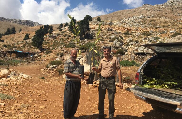 Yeşil Bir Vatan İçin El Ele