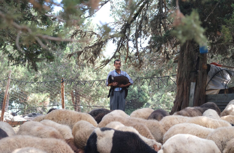 BÜYÜKŞEHİR’İN HER PROJESİ AMACINA ULAŞIYOR