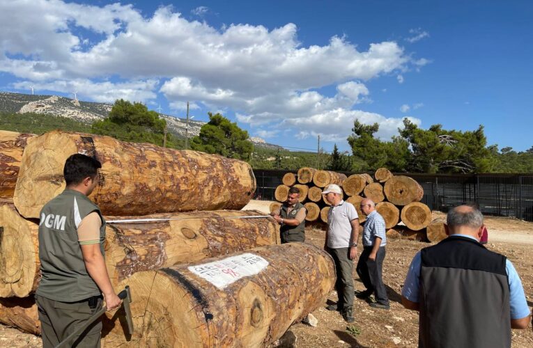 Bölge Müdür Yardımcısı Altıntaş Mut’ta incelemelerde bulundu