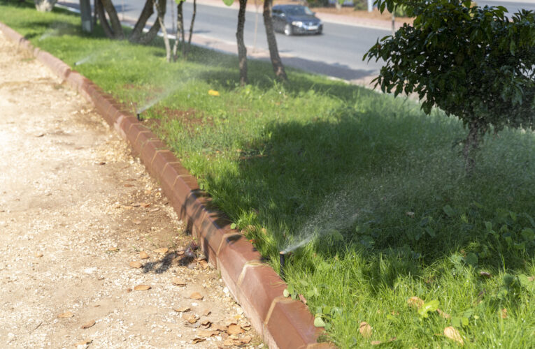 68’LİLER BARIŞ ORMANI’NIN KENTE KATTIĞI DEĞER ARTTI